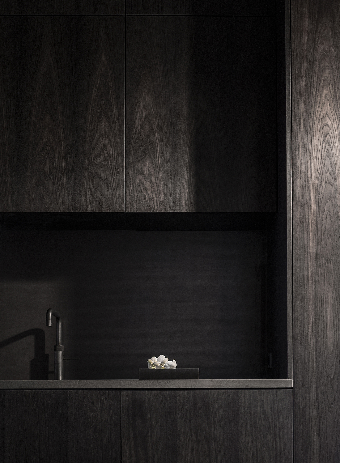 Contemporary Dark Wood Kitchen | DPAGES