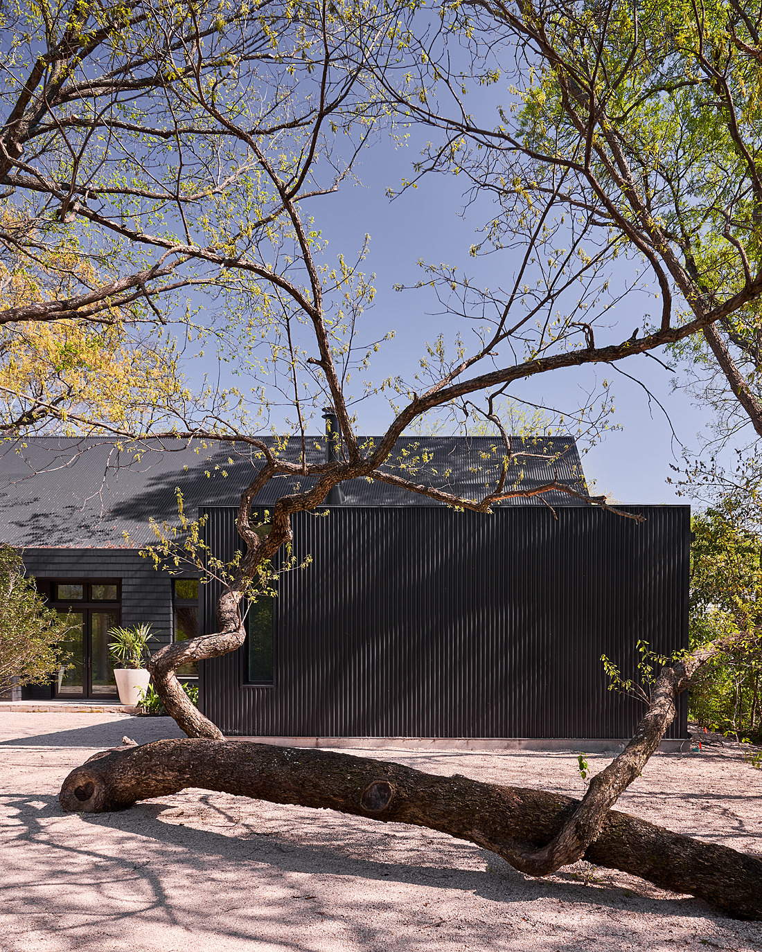 Black Texas Home | DPAGES