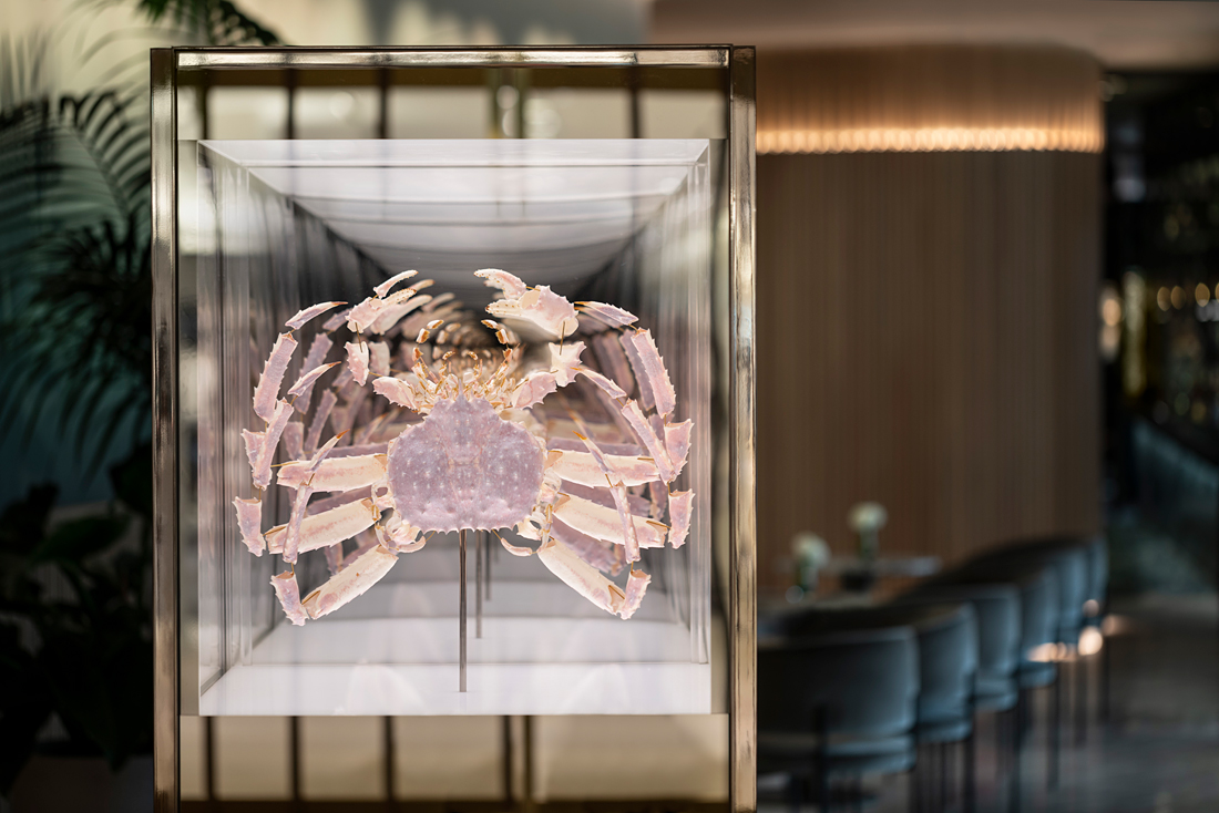 Taxidermy King Crab | DPAGES