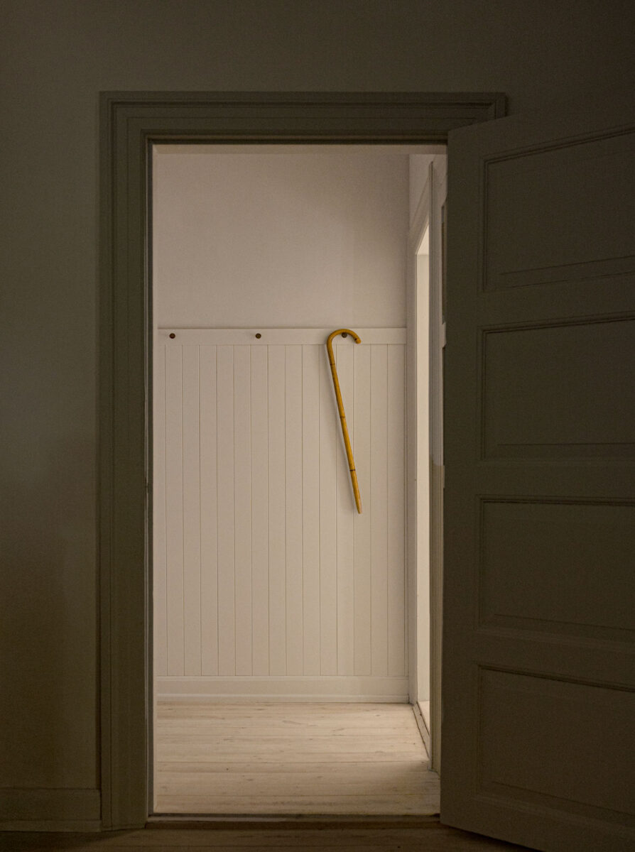 Minimalist Kitchen Entryway