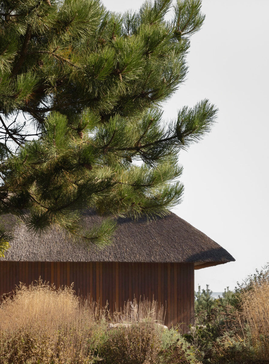 Modern Thatch Roof Cottage