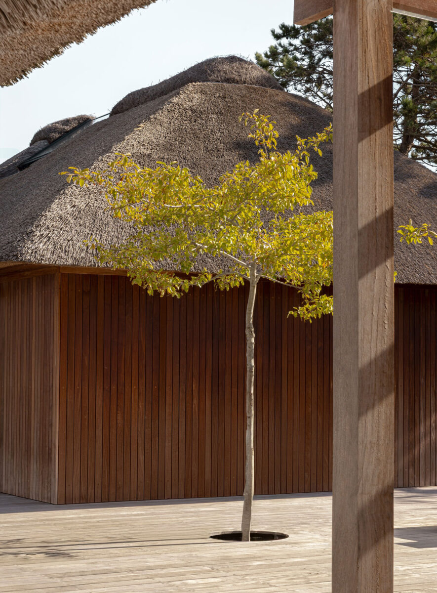 Thatch Roof Architecture