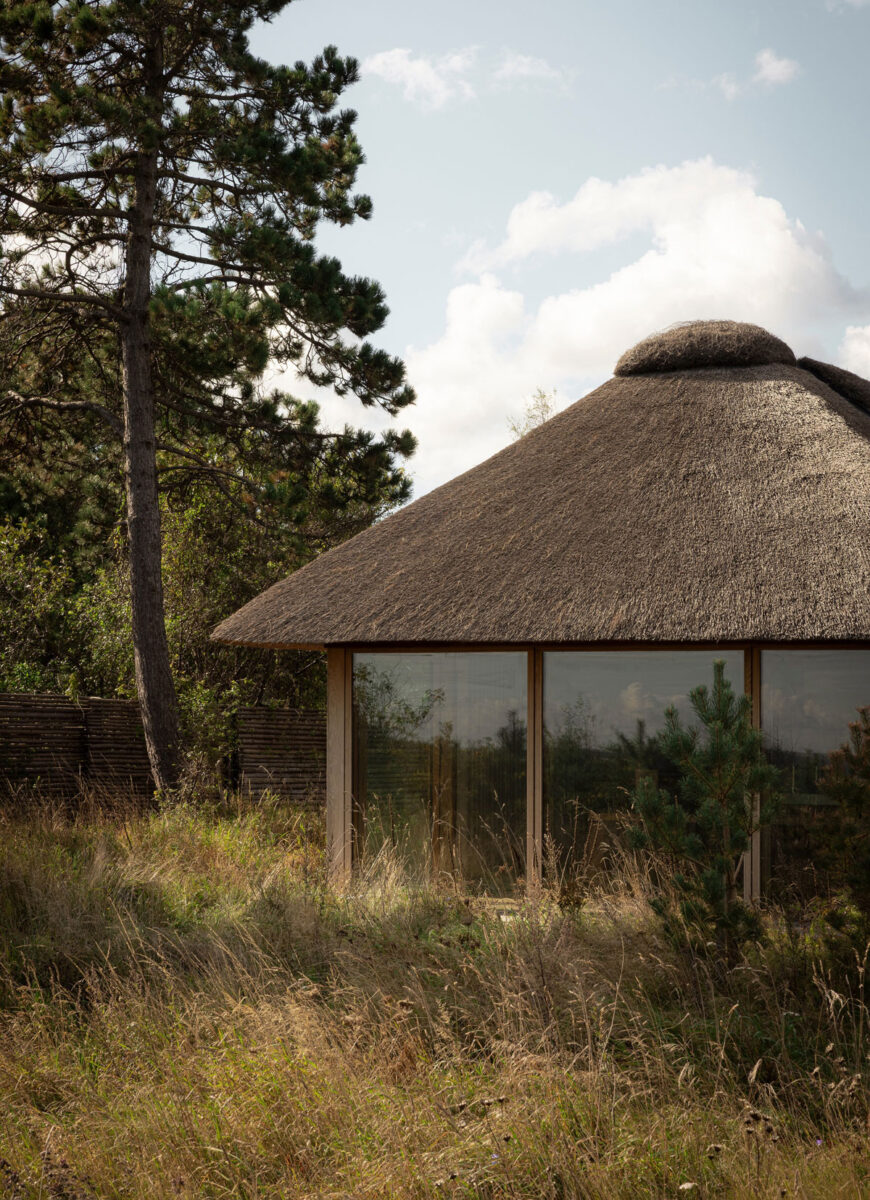 Modern Thatch House